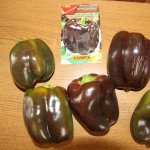 Самый вкусный среди темноплодных сортов — перец Чернобровка: отзывы и описание