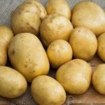 Перспективная новинка от агрофирмы «Седек» — картофель Аусония: описание сорта и отзывы
