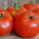 Ультраскороспелый, морозоустойчивый — томат Любаня F1: подробное описание сорта