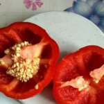 Лучший выбор для любителей сладких перцев — Фон барон Красный: отзывы и описание сорта