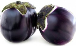 Массивные плоды с широким применением — баклажан Толстый барин: описание сорта, отзывы