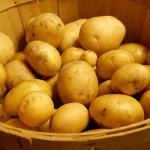 Прекрасные вкусовые качества и продуктивность — картофель Витесса: описание сорта и отзывы