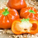 Индивидуальный сорт с красочными плодами — перец Фон барон Оранжевый: отзывы и описание