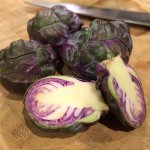 Привлекательный и вкусный сорт брюссельской капусты — Виноградная гроздь: отзывы и описание