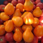 Удивительные помидоры с причудливым видом — томат Лампочка: описание сорта и его характеристики