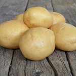 Свежие урожаи на всю зиму — картофель Мелодия: описание сорта и отзывы