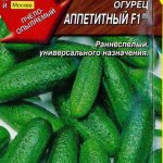 Импозантный сорт для продажи и личного употребления — огурец Аппетитный F1: полное описание куста