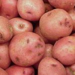 Лучший украинский сорт картофеля — Бородянский розовый: описание и отзывы