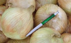 Небывалые урожаи килограммовых корнеплодов — лук Глобо: описание сорта и отзывы