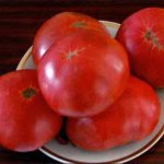 Розовый обитатель огородов — томат Гигантелла: детальное описание сорта и его характеристики
