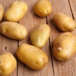 Удостоенный высших похвал садоводов — картофель Росинка: характеристика и описание сорта