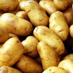 Отлично приспособленный к похолоданиям — сорт картофеля Златка: описание и характеристика