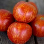 Необычные плоды из Англии — томат Тигрелла: полное описание сорта