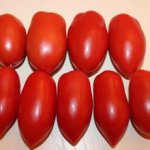 Стойкий сорт с мощными и массивными стеблями — томат Кавказская Лиана: отзывы и описание