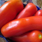 Тепличный сорт с причудливыми плодами — томат Казанова: отзывы и описание