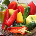 Обилие красочных плодов на любой вкус и цвет — перец Калейдоскоп: отзывы и описание сорта