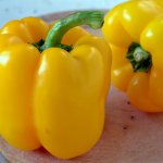 Нарядный сорт с вкуснейшими сладкими плодами — желтый перец Асти: характеристика и описание