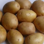 Популярный сорт от немецкой фирмы «Европлант» — картофель Джелли: описание и характеристика