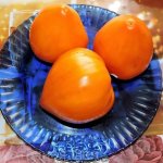 Полезный и питательный любимец многих огородников — томат Оранжевое сердце (Лискин нос): подробное описание сорта