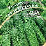 Универсальный сорт, устойчивый к болезням — огурец Али-Баба f1: описание сорта
