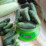 Упругие и сочные зеленцы для засолки — огурец Хрустящий F1: описание сорта и характеристики