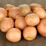 Рекордные урожаи для холодных регионов — картофель Виза: описание сорта и отзывы