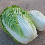 Приспособленный к любым условиям сорт пекинской капусты — Дюймовочка: отзывы и описание