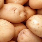 Заслуживший отличную репутацию во всех странах СНГ — картофель Илона: описание сорта и отзывы