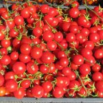 Урожайный малыш от беларуских селекционеров — томат Кроха: описание сорта и отзывы